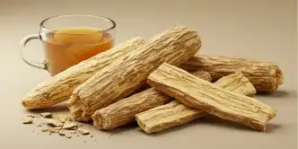 Raíz de kava-kava promove alívio ao estresse e ansiedade