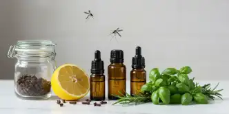 Remédios caseiros para mosquitos