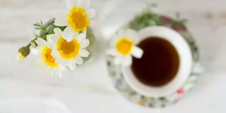 Visão de cima de flores de camomila com uma xícara contendo chá desfocada ao fundo